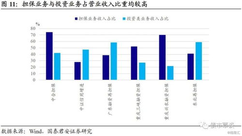 繁華落盡,回歸初心 擔(dān)保行業(yè)信用深度報(bào)告